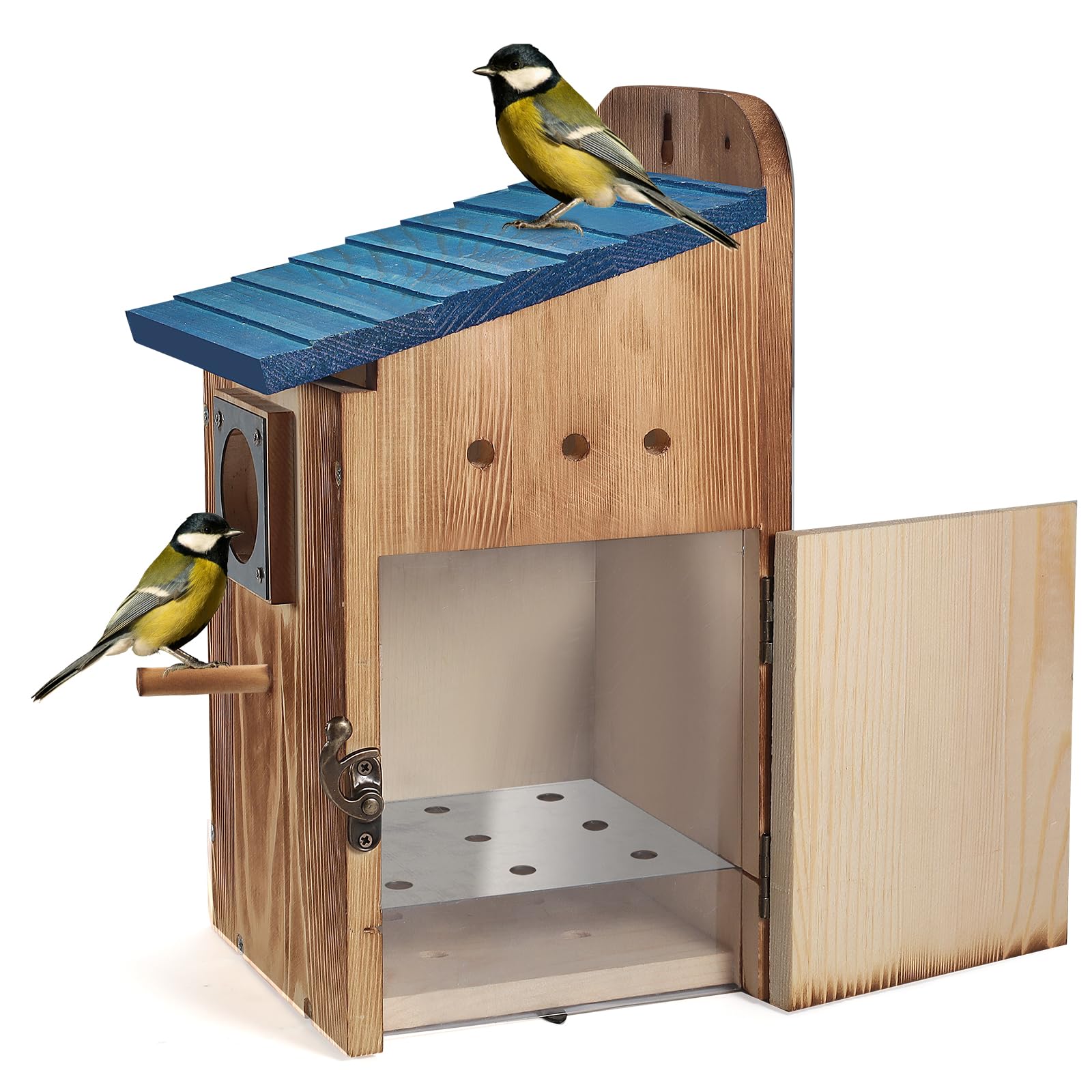 Amazon.com: Blue Bird Houses for Outside with Gift Box - Durable